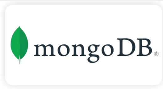 Flask logo Dataisgood